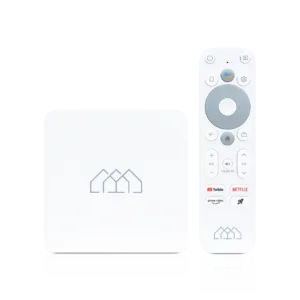 EasyVoice TV Decoder – Homatics Box R Lite 4K
